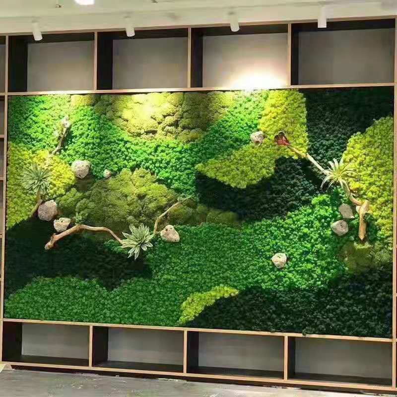 20g Artificial Green Moss Plan - Sphagnum Moss Dry 评论和价格